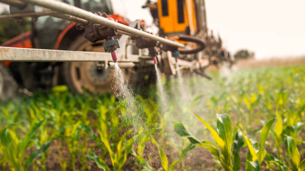Best Pest Removal Services  in Pemberville, OH